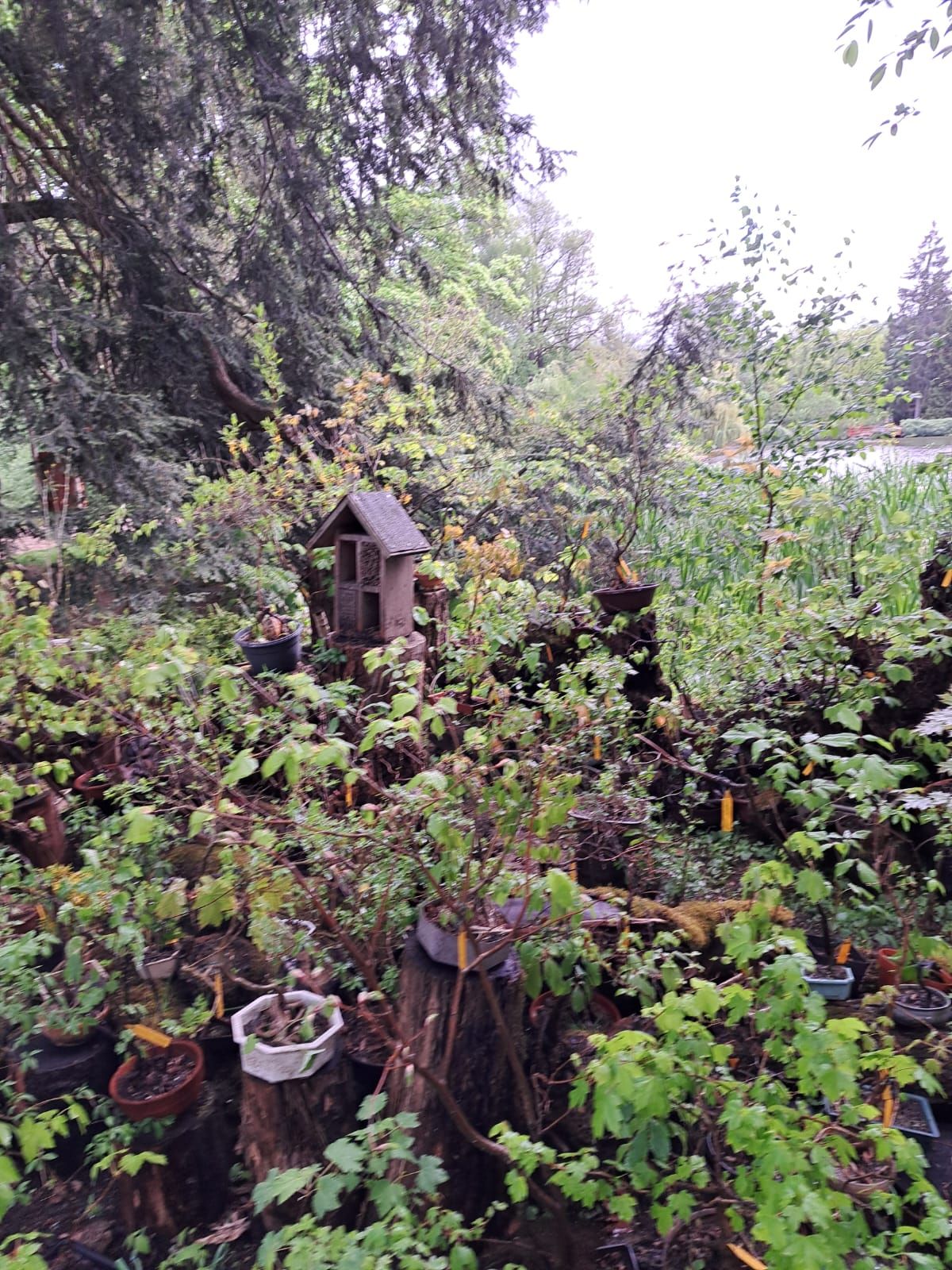 IMG-20250516-WA0012