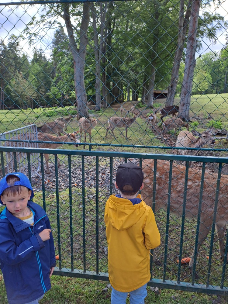 IMG-20250528-WA0006