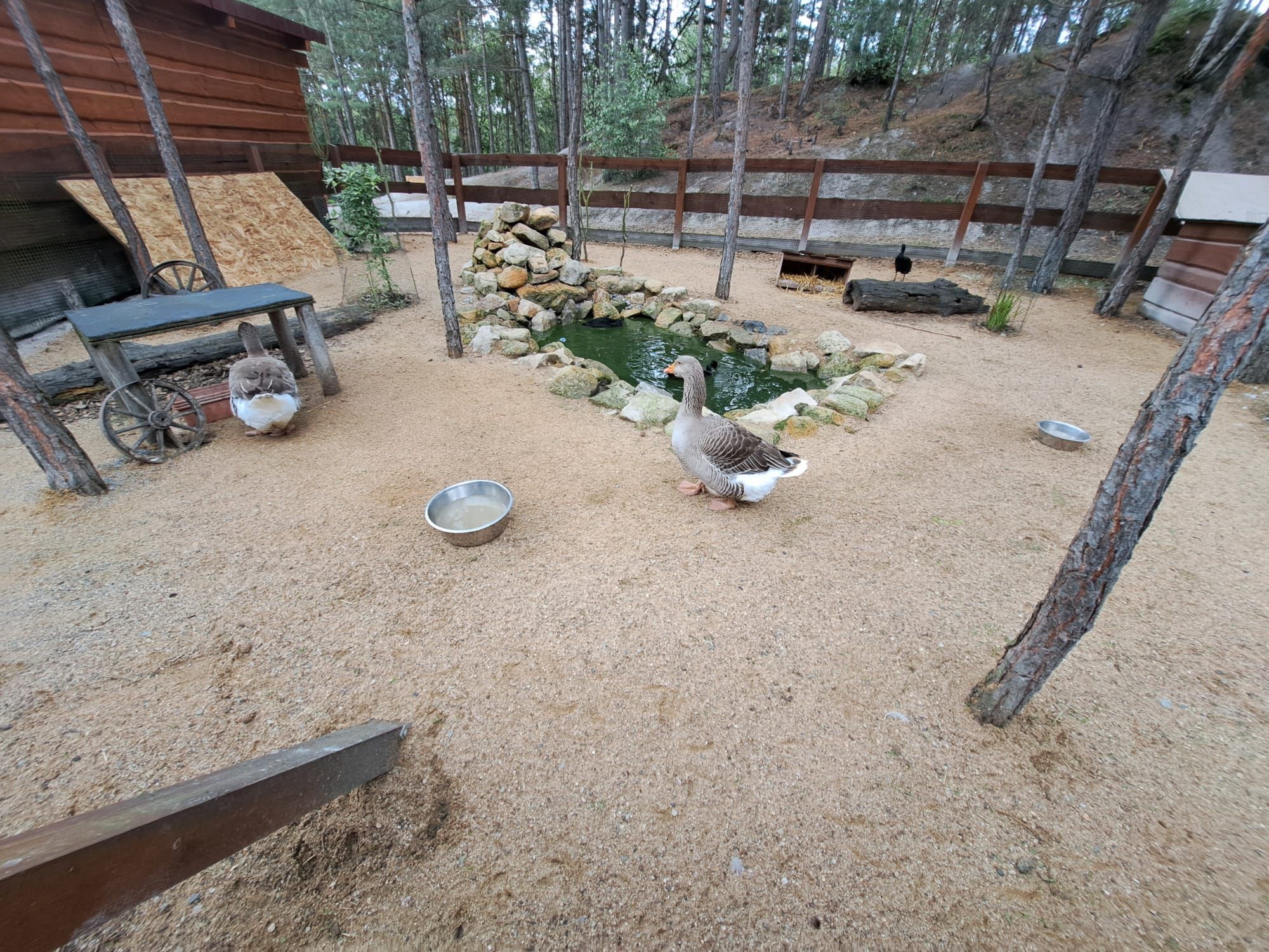 IMG-20250605-WA0060