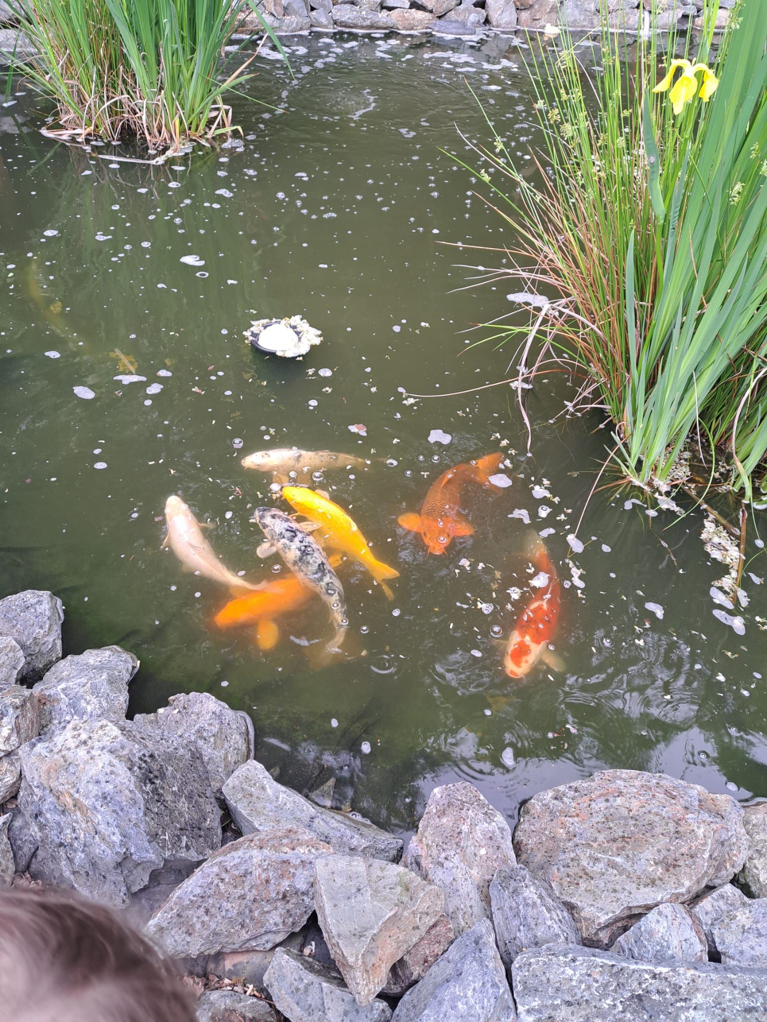 IMG-20250605-WA0125