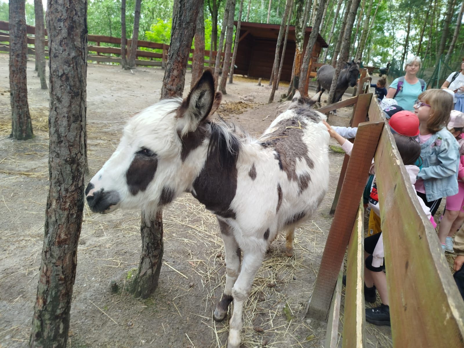 IMG-20250606-WA0047