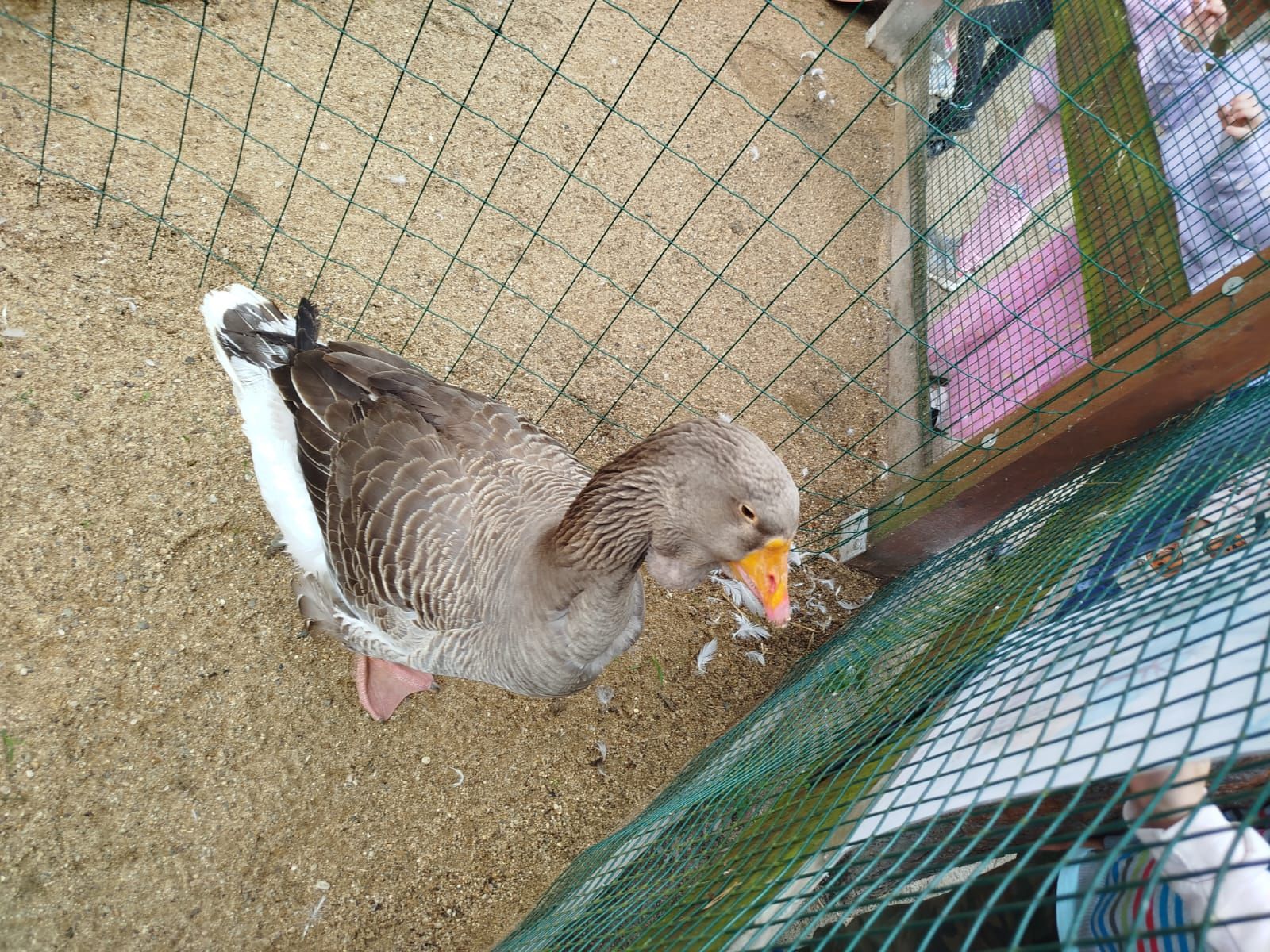 IMG-20250606-WA0060