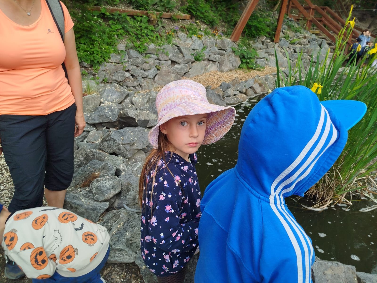 IMG-20250606-WA0063