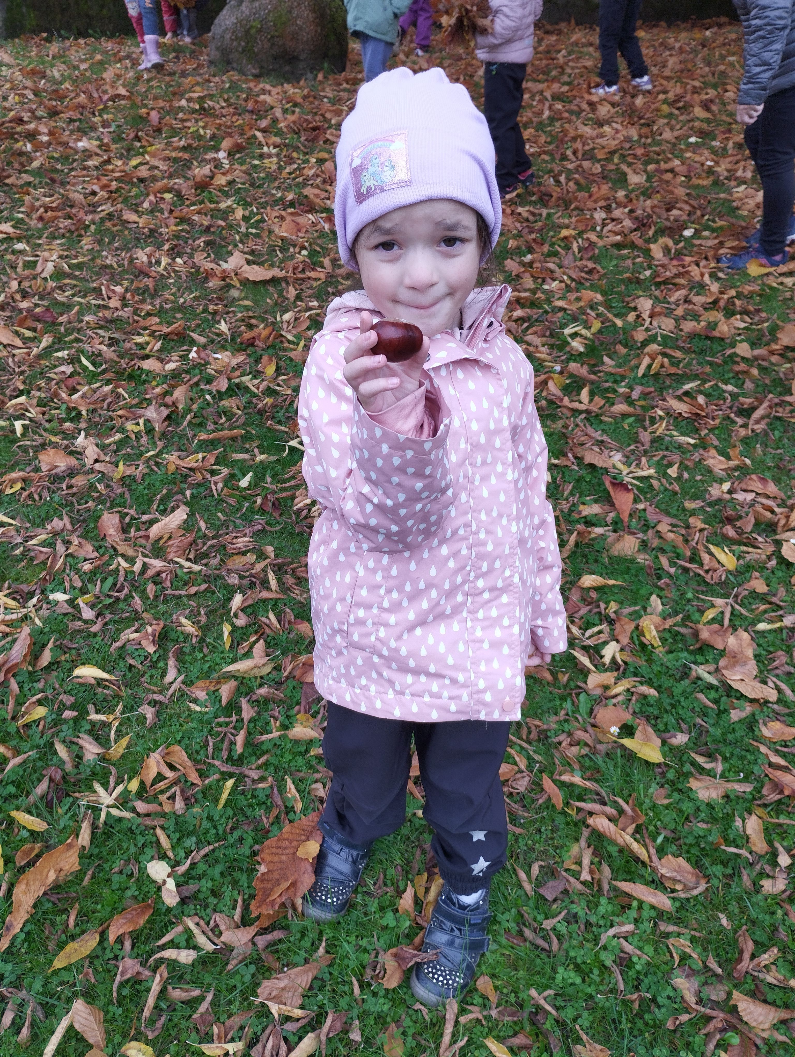 IMG_20251009_110202