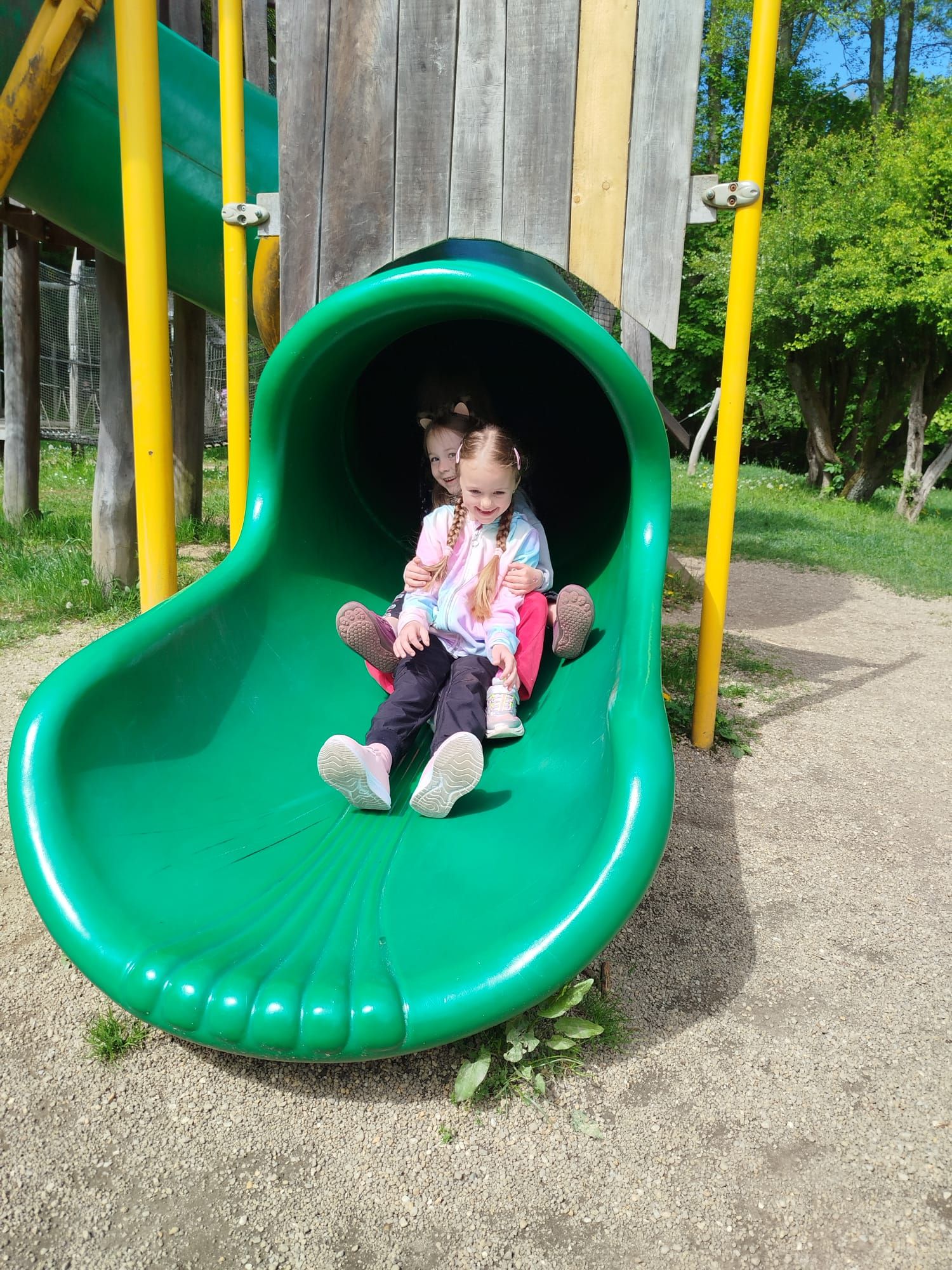 IMG-20260519-WA0029