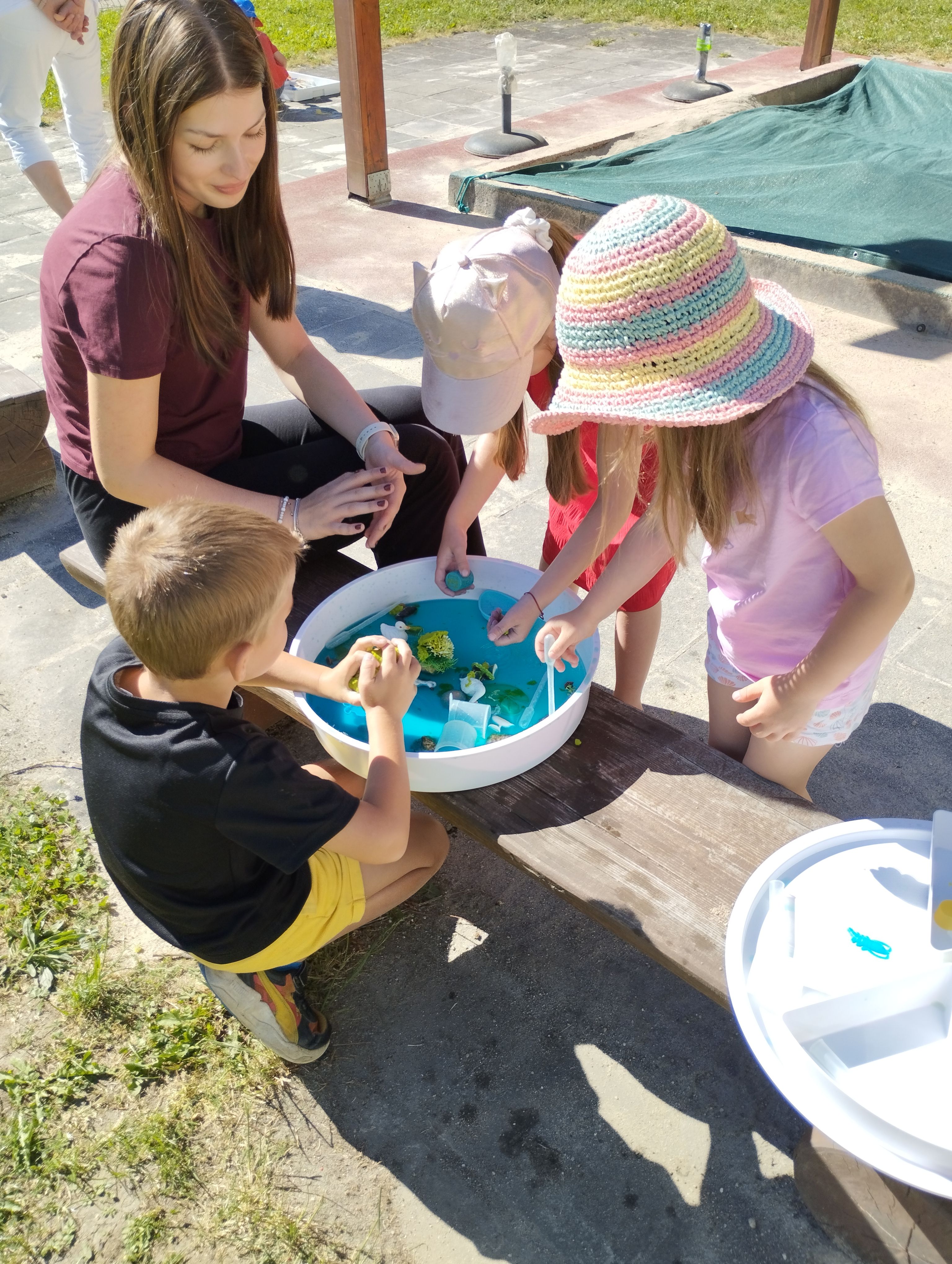 IMG_20260529_093341