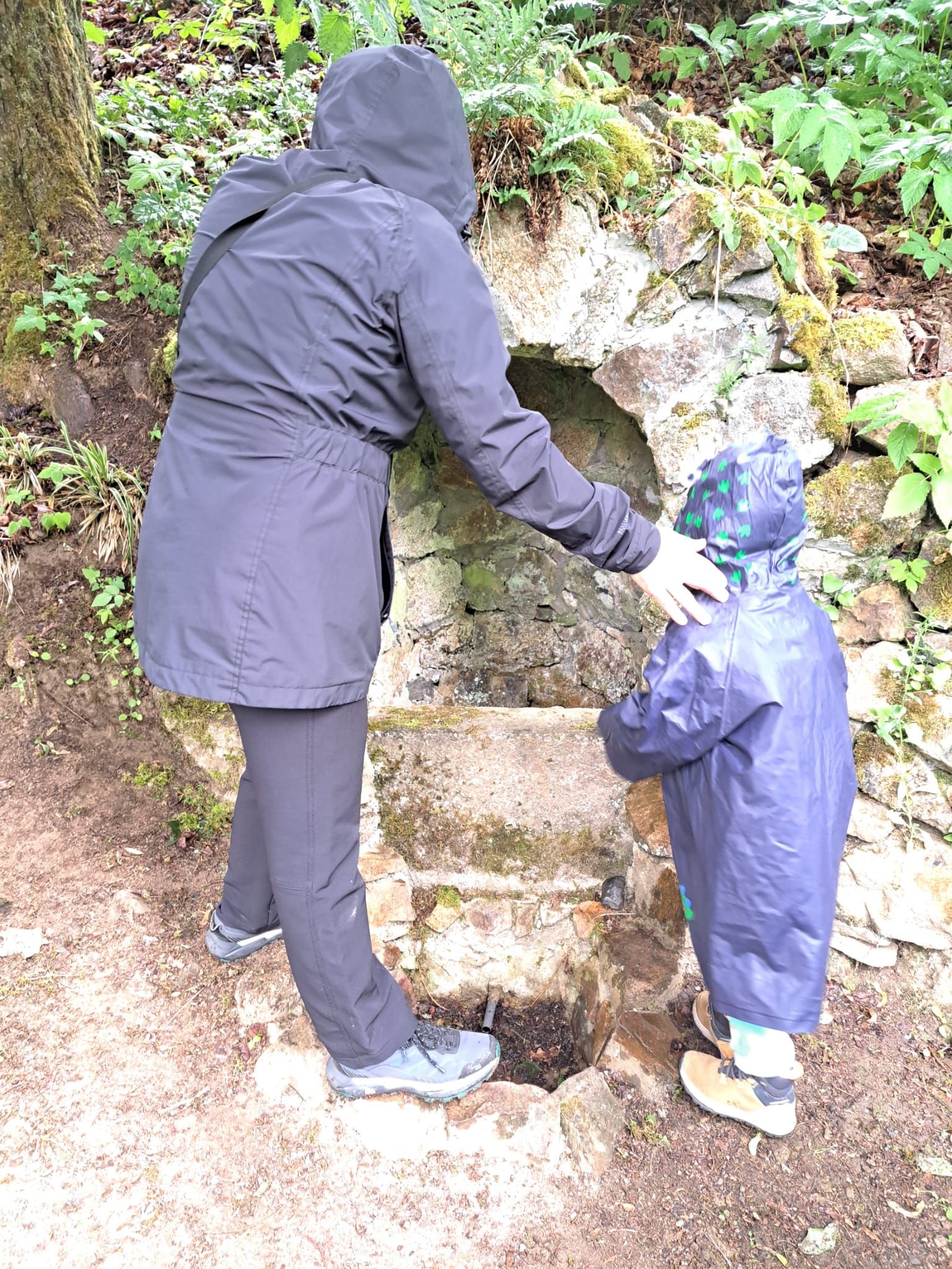 IMG-20260611-WA0044