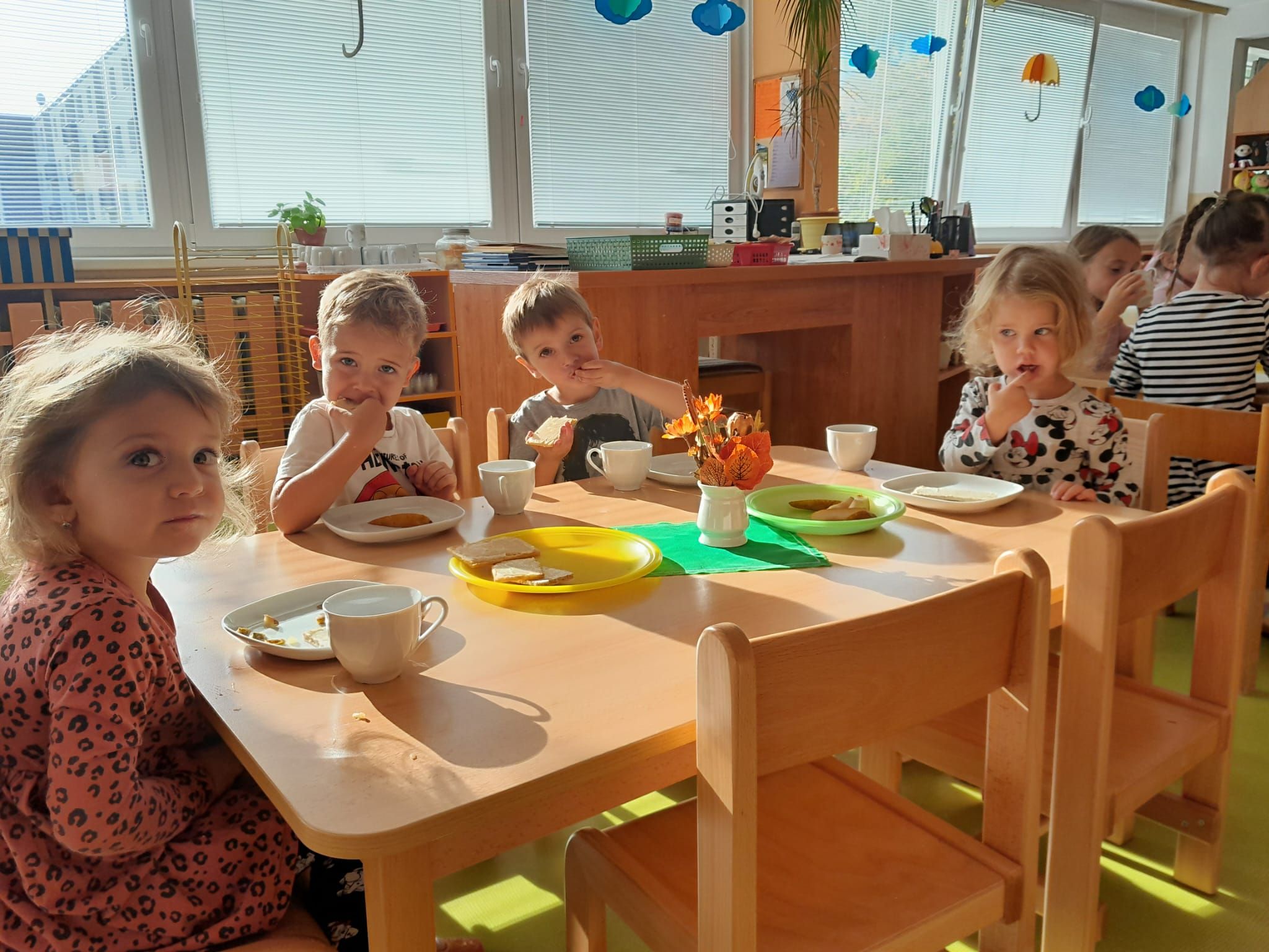 IMG-20260910-WA0041