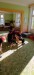 IMG-20250502-WA0011