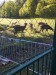 IMG_20250507_090721