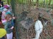 IMG_20250507_093327