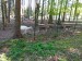 IMG_20250507_094311
