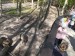 IMG_20250507_100458