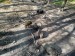 IMG-20250507-WA0012