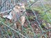 IMG-20250507-WA0023