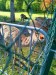 IMG-20250507-WA0032