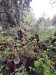 IMG-20250516-WA0012