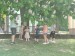 IMG-20250521-WA0015
