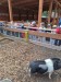IMG-20250605-WA0044