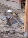 IMG-20250605-WA0018