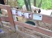 IMG-20250605-WA0025