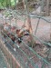 IMG-20250605-WA0033