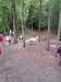 IMG-20250605-WA0037