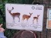 IMG-20250605-WA0043