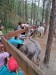 IMG-20250605-WA0051