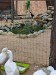 IMG-20250605-WA0055