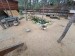 IMG-20250605-WA0060