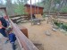 IMG-20250605-WA0062