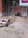 IMG-20250605-WA0133