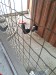 IMG-20250605-WA0139