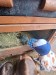 IMG-20250605-WA0149
