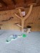 IMG-20250605-WA0168