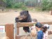 IMG-20250606-WA0002