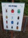 IMG-20250606-WA0011