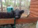IMG-20250606-WA0026