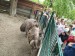 IMG-20250606-WA0029