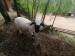 IMG-20250606-WA0038