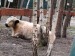 IMG-20250606-WA0073
