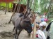 IMG-20250606-WA0078