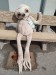IMG-20250606-WA0079