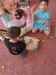 IMG-20250613-WA0010