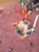 IMG-20250613-WA0014