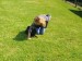 IMG-20250620-WA0014