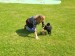 IMG-20250620-WA0019