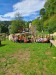 IMG-20250909-WA0024