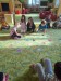 IMG-20250925-WA0017